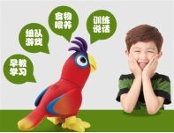 皇家0033990威尼斯-新品3