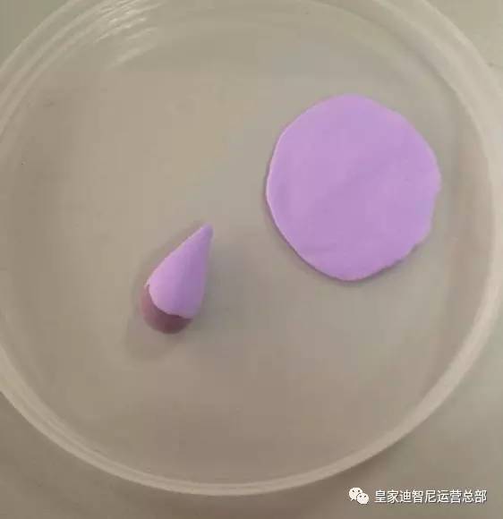 0033990威尼斯(中国)有限公司 -Best Of Best