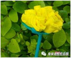 38妇女节，，，，，，玩具加盟店签约仪式、赚钱活动陆续来临 - 品牌资讯 - 皇家0033990威尼斯官网-玩具店加盟|益智玩具加盟|儿童玩具加盟店