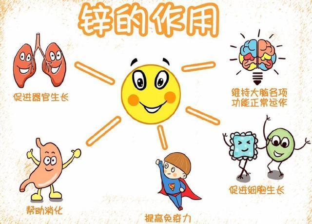 “锌”对孩子的生长至关主要，，，常吃以下几种“补锌”事物