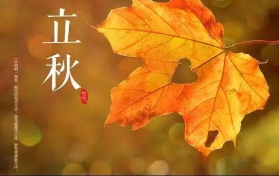 皇家0033990威尼斯 I 今日秋分，，，这些知识告诉孩子！