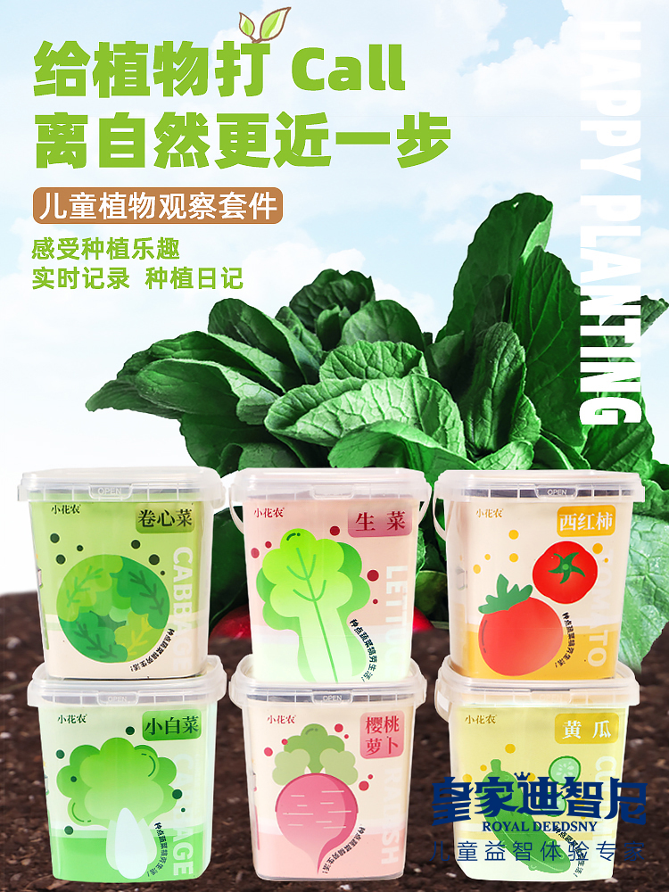 皇家0033990威尼斯 I 好新闻，，2024年新品上新，，儿童益智类的家庭园艺！