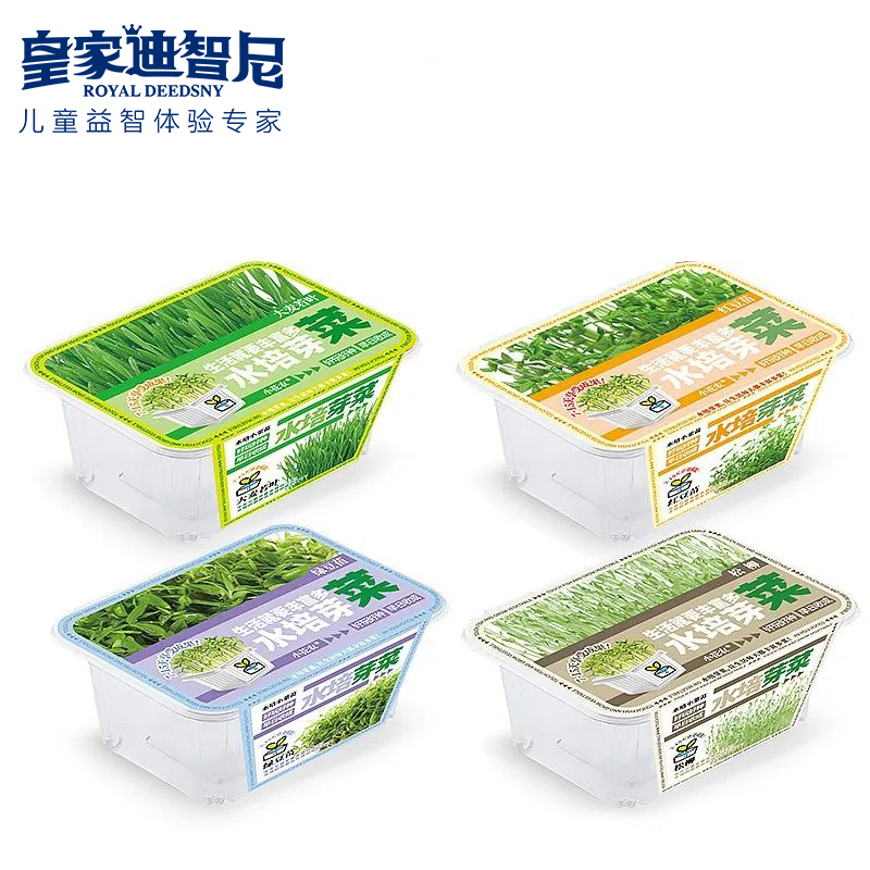 皇家0033990威尼斯 I 好新闻，，2024年新品上新，，儿童益智类的家庭园艺！