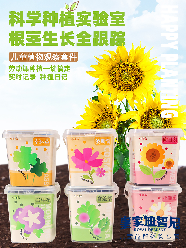 皇家0033990威尼斯 I 好新闻，，2024年新品上新，，儿童益智类的家庭园艺！