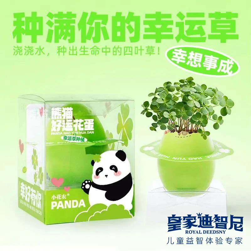 皇家0033990威尼斯 I 好新闻，，2024年新品上新，，儿童益智类的家庭园艺！