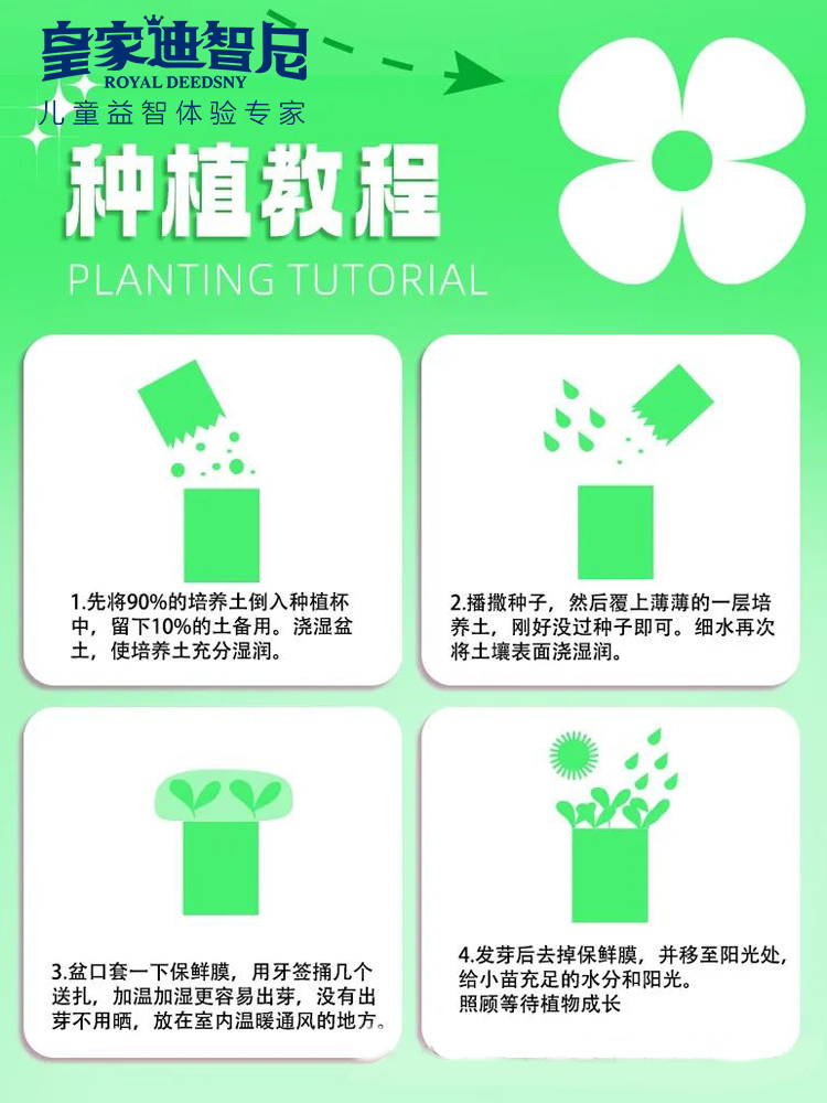 皇家0033990威尼斯 I 好新闻，，2024年新品上新，，儿童益智类的家庭园艺！