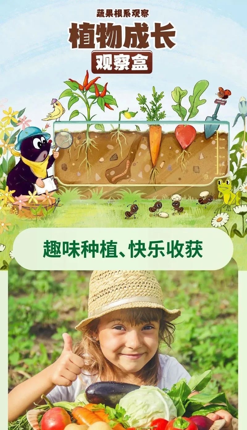 皇家0033990威尼斯 I 儿童益智手工家庭园艺，，，，，爆款类手工莳植攻略！