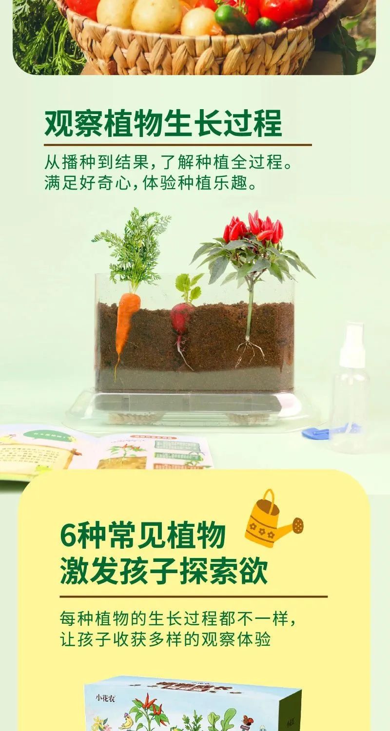 皇家0033990威尼斯 I 儿童益智手工家庭园艺，，，，，爆款类手工莳植攻略！