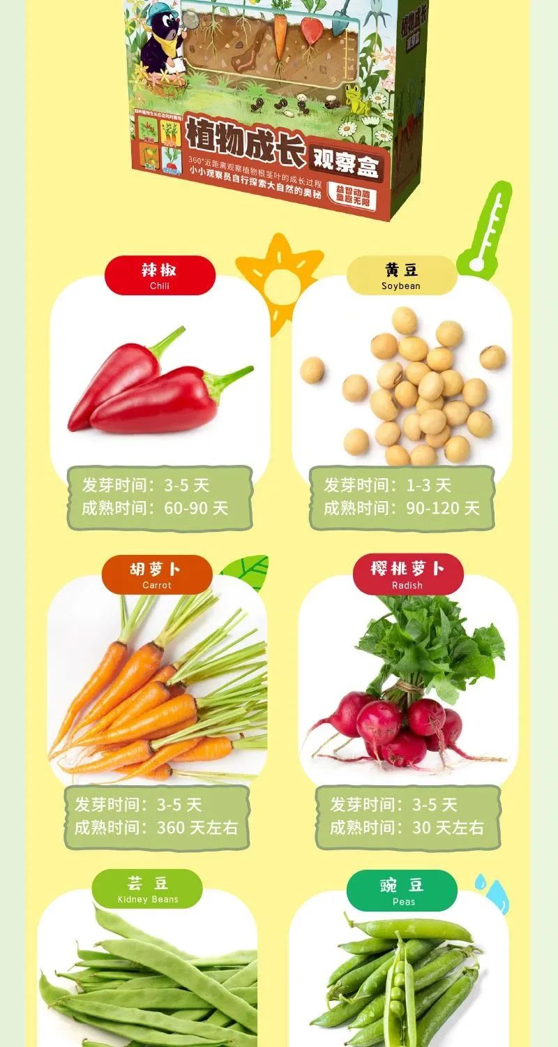 皇家0033990威尼斯 I 儿童益智手工家庭园艺，，，，，爆款类手工莳植攻略！