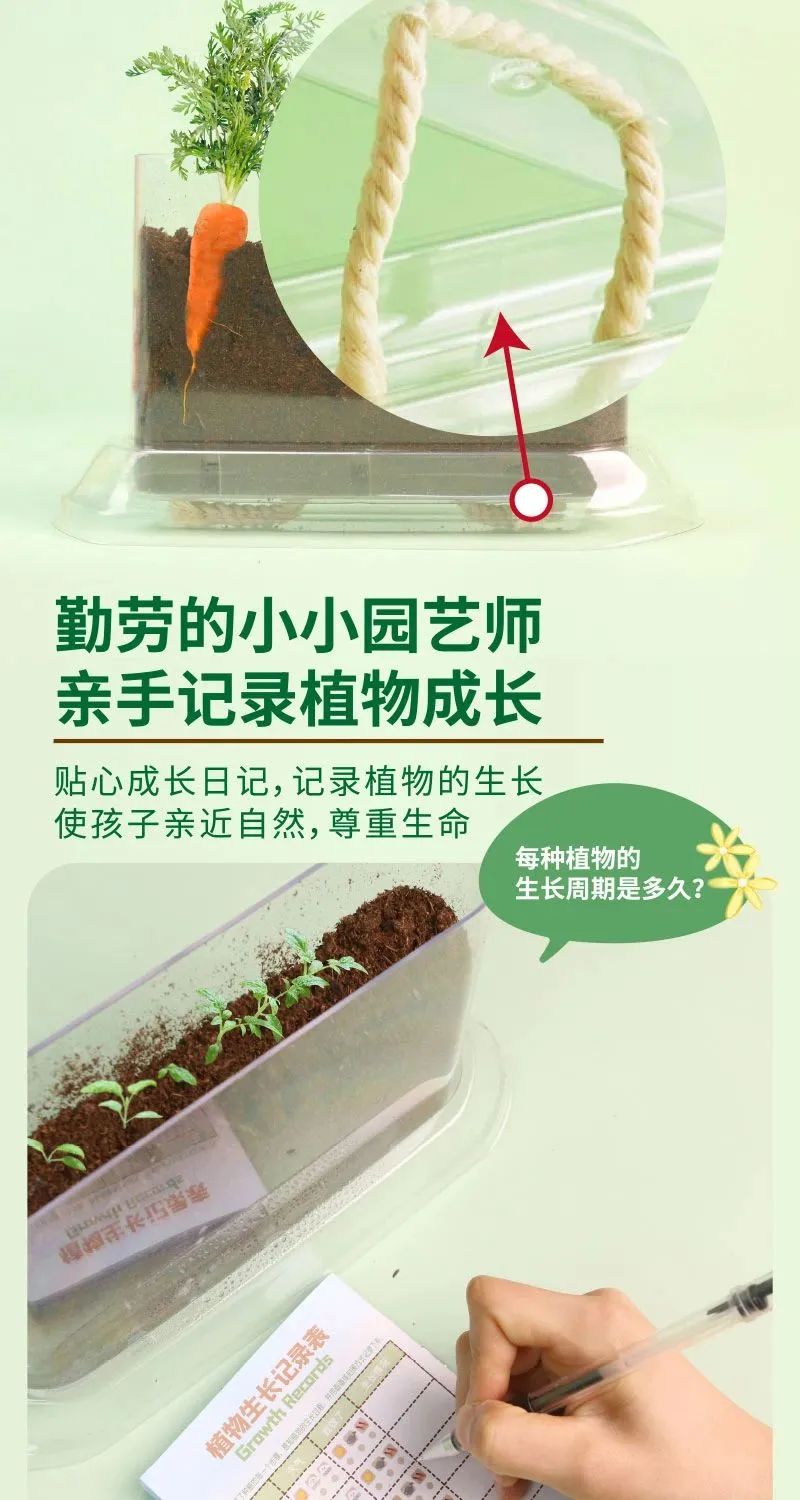 皇家0033990威尼斯 I 儿童益智手工家庭园艺，，，，，爆款类手工莳植攻略！