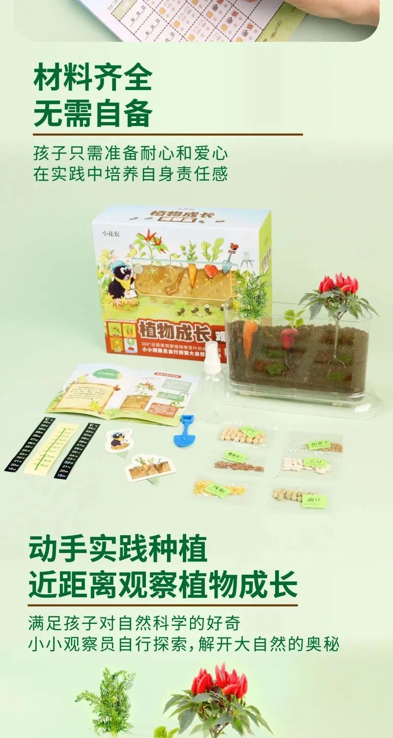 皇家0033990威尼斯 I 儿童益智手工家庭园艺，，，，，爆款类手工莳植攻略！