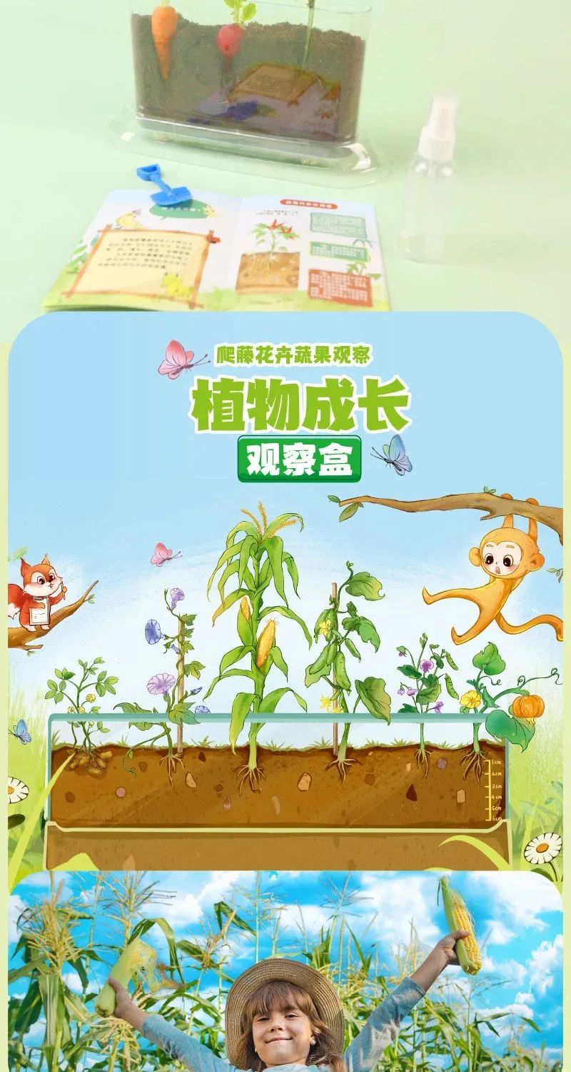 皇家0033990威尼斯 I 儿童益智手工家庭园艺，，，，，爆款类手工莳植攻略！