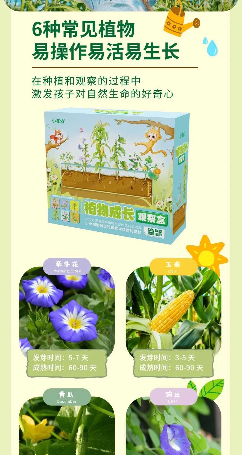 皇家0033990威尼斯 I 儿童益智手工家庭园艺，，，，，爆款类手工莳植攻略！