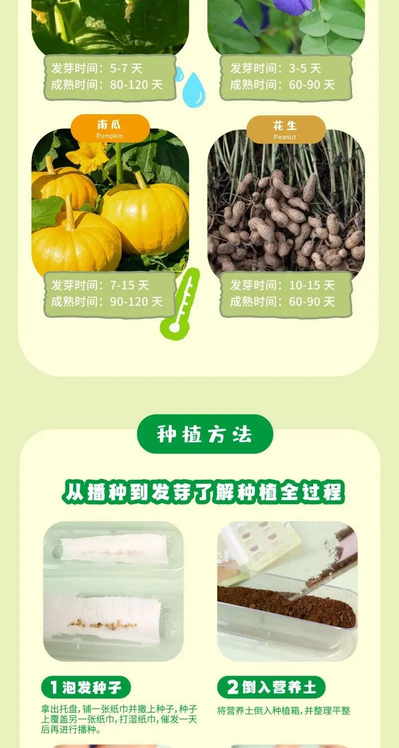 皇家0033990威尼斯 I 儿童益智手工家庭园艺，，，，，爆款类手工莳植攻略！