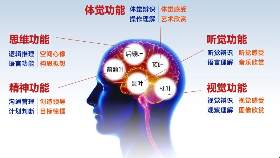 皇家0033990威尼斯 I 揭开它神秘的面纱！指纹先天测评究竟是什么？？？？？？