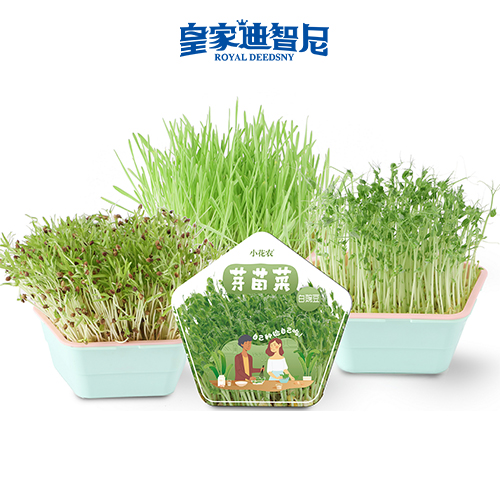 手工DIY类 - 皇家0033990威尼斯官网-玩具店加盟|益智玩具加盟|儿童玩具加盟店-第34页